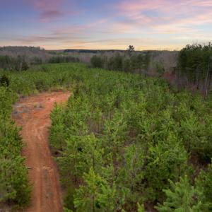 Photo #5 of Patrick Henry Highway, Charlotte Court House, VA 102.0 acres