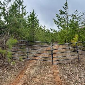 Photo #2 of Patrick Henry Highway, Charlotte Court House, VA 102.0 acres