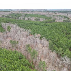 Photo #8 of Scuffletown Road, Randolph, VA 79.0 acres