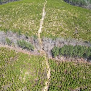 Photo #6 of Dixon Trail, Vernon Hill, VA 270.0 acres