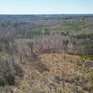 Photo #4 of Dixon Trail, Vernon Hill, VA 270.0 acres