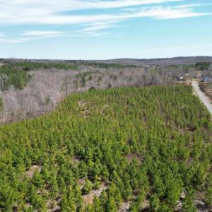 Photo #2 of Dixon Trail, Vernon Hill, VA 270.0 acres