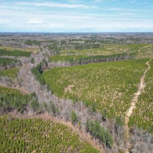 Photo #3 of Dixon Trail, Vernon Hill, VA 270.0 acres