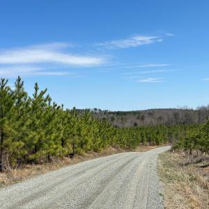 Photo #5 of Dixon Trail, Vernon Hill, VA 270.0 acres