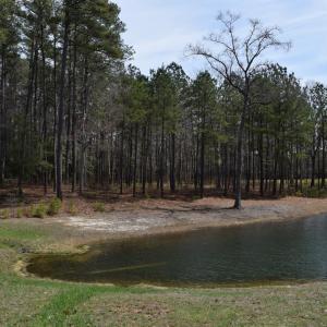 Photo #6 of Lot  75 SCARBURGH LANE, HORNTOWN, VA 3.0 acres