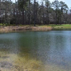 Photo #10 of Lot  75 SCARBURGH LANE, HORNTOWN, VA 3.0 acres