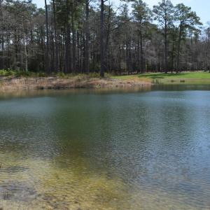 Photo #12 of Lot  75 SCARBURGH LANE, HORNTOWN, VA 3.0 acres