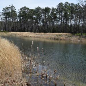 Photo #13 of Lot  75 SCARBURGH LANE, HORNTOWN, VA 3.0 acres