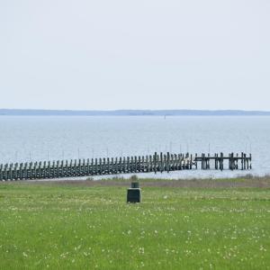 Photo #16 of Lot  75 SCARBURGH LANE, HORNTOWN, VA 3.0 acres