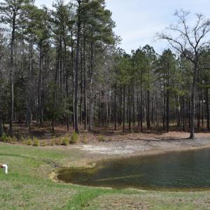 Photo #2 of Lot  75 SCARBURGH LANE, HORNTOWN, VA 3.0 acres