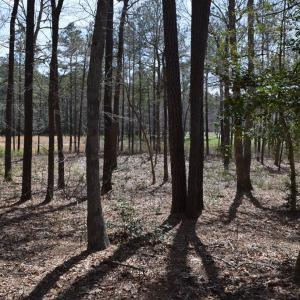 Photo #3 of Lot  75 SCARBURGH LANE, HORNTOWN, VA 3.0 acres
