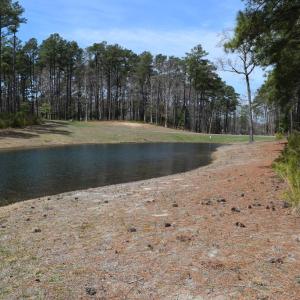 Photo #4 of Lot  75 SCARBURGH LANE, HORNTOWN, VA 3.0 acres