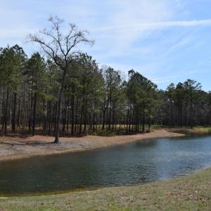 Photo #7 of Lot  75 SCARBURGH LANE, HORNTOWN, VA 3.0 acres