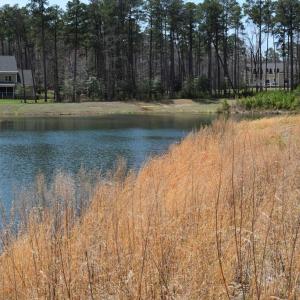 Photo #5 of Lot  75 SCARBURGH LANE, HORNTOWN, VA 3.0 acres