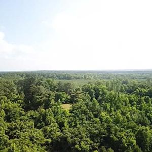 Photo #15 of Christanna Hwy, Lawrenceville, VA 15.1 acres