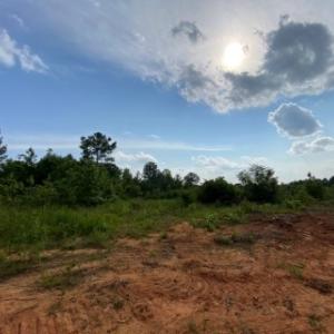Photo #16 of Christanna Hwy, Lawrenceville, VA 15.1 acres
