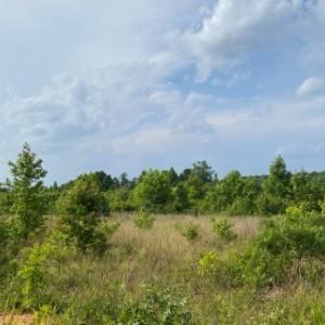 Photo #17 of Christanna Hwy, Lawrenceville, VA 15.1 acres