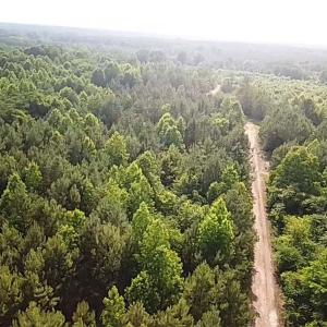 Photo #19 of Christanna Hwy, Lawrenceville, VA 15.1 acres