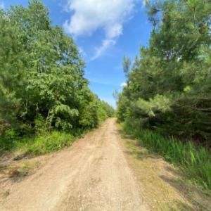 Photo #8 of Christanna Hwy, Lawrenceville, VA 15.1 acres