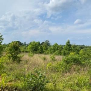 Photo #13 of 46 Christanna Hwy, Lawrenceville, VA 10.1 acres