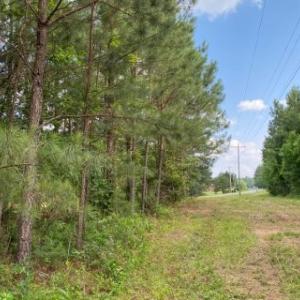 Photo #15 of 46 Christanna Hwy, Lawrenceville, VA 10.1 acres