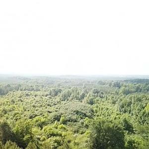 Photo #16 of 46 Christanna Hwy, Lawrenceville, VA 10.1 acres