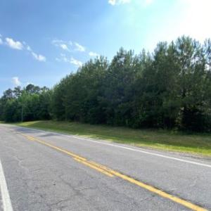 Photo #3 of 46 Christanna Hwy, Lawrenceville, VA 10.1 acres