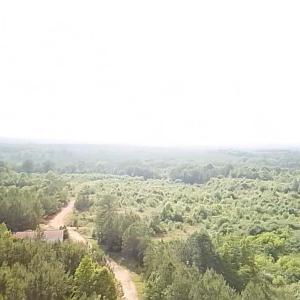 Photo #7 of 46 Christanna Hwy, Lawrenceville, VA 10.1 acres