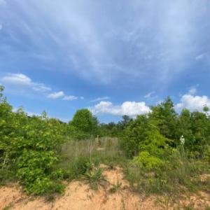 Photo #8 of 46 Christanna Hwy, Lawrenceville, VA 10.1 acres