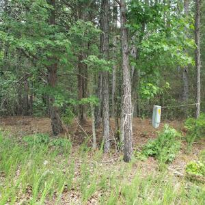 Photo #3 of Wilkins Road, Alton, VA 20.1 acres