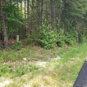 Photo #4 of Wilkins Road, Alton, VA 20.1 acres