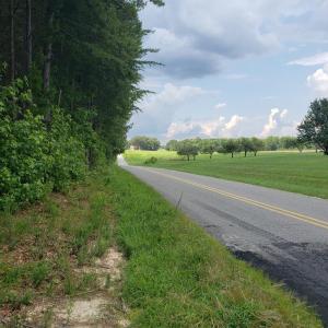 Photo #2 of Wilkins Road, Alton, VA 20.1 acres