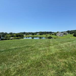 Photo #2 of Duck Pond, Appomattox, VA 1.5 acres