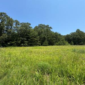 Photo #3 of Duck Pond, Appomattox, VA 1.5 acres