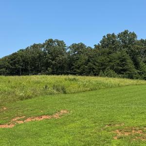 Photo #4 of Duck Pond, Appomattox, VA 1.5 acres