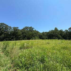 Photo #5 of Duck Pond, Appomattox, VA 1.5 acres