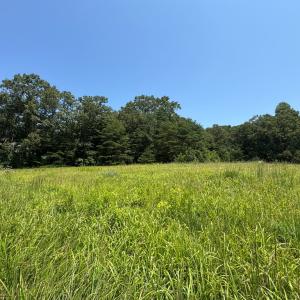 Photo #7 of Duck Pond, Appomattox, VA 1.5 acres