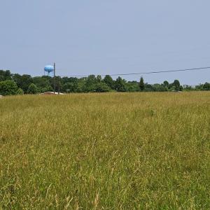 Photo #3 of Main St, Dillwyn, VA 3.3 acres