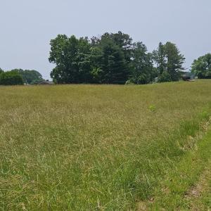 Photo #4 of Main St, Dillwyn, VA 3.3 acres