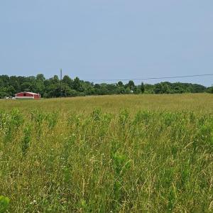 Photo #5 of Main St, Dillwyn, VA 3.3 acres