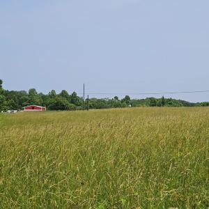 Photo #7 of Main St, Dillwyn, VA 3.3 acres