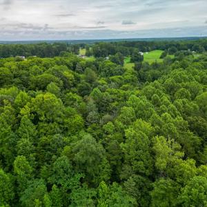 Photo #3 of Prince Edward Highway, Rice, VA 13.8 acres