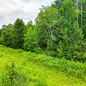 Photo #4 of Prince Edward Highway, Rice, VA 13.8 acres