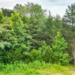 Photo #5 of Prince Edward Highway, Rice, VA 13.8 acres