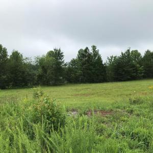 Photo #11 of Buckingham Centre Dr, Dillwyn, VA 3.1 acres
