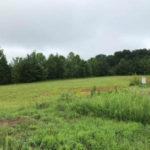 Photo #12 of Buckingham Centre Dr, Dillwyn, VA 3.1 acres