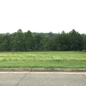 Photo #2 of Buckingham Centre Dr, Dillwyn, VA 3.1 acres