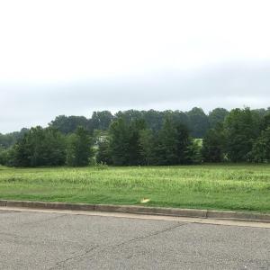 Photo #8 of Buckingham Centre Dr, Dillwyn, VA 3.1 acres