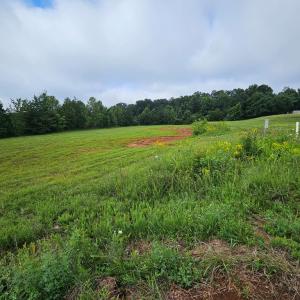 Photo #17 of Buckingham Centre Dr, Dillwyn, VA 3.1 acres