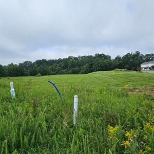 Photo #18 of Buckingham Centre Dr, Dillwyn, VA 3.1 acres